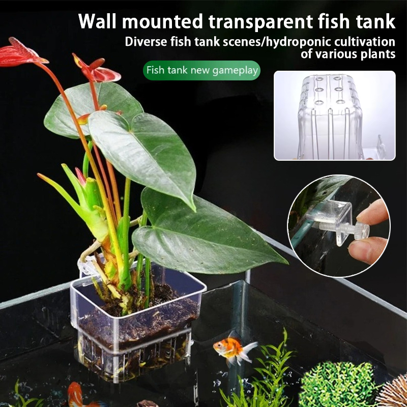 Aquarium Fish Pot - Aquarium Hanging Planter Cups Wall Mounted