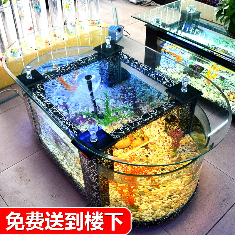 Aquarium Xl - Large ecological coffee table fish tank