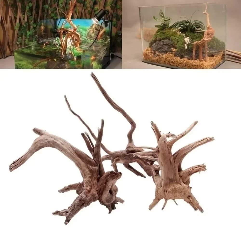 Aquarium Fish Types - （15-20cm） Natural Driftwood Aquarium Decor -