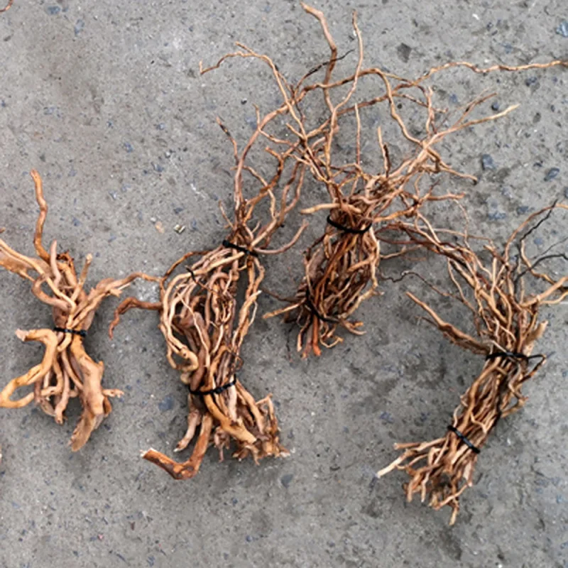 Natural Driftwood Root Trunk T - Aquarium Fish And Supplies ulasan dan harga