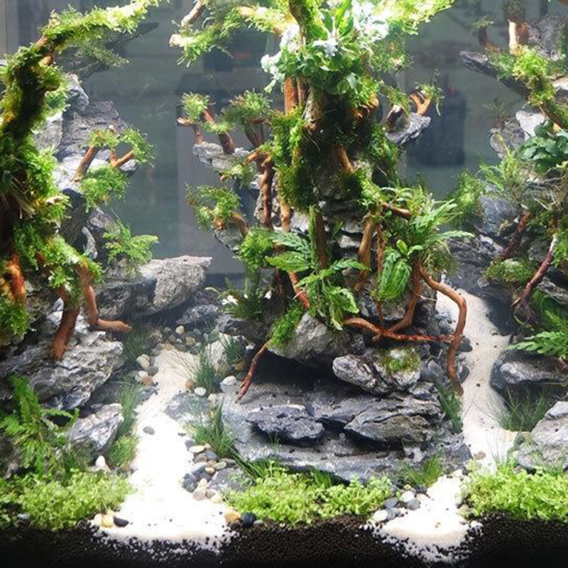 Natural Driftwood Root Trunk T - Aquarium Fish And Supplies ulasan dan harga