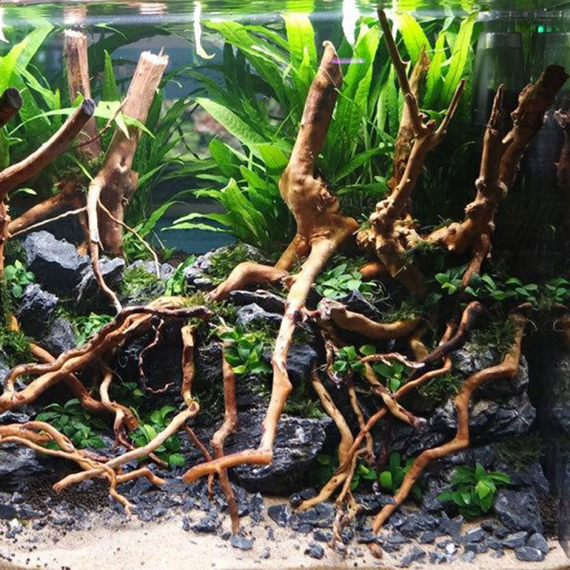 Natural Driftwood Root Trunk T - Aquarium Fish And Supplies ulasan dan harga