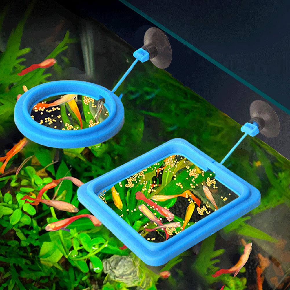 Fish Feeding Ring Feeder Fishi - Tetra Food Tropical Flakes ulasan dan harga