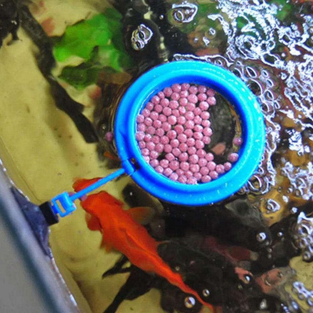 Fish Feeding Ring Feeder Fishi - Tetra Food Tropical Flakes ulasan dan harga