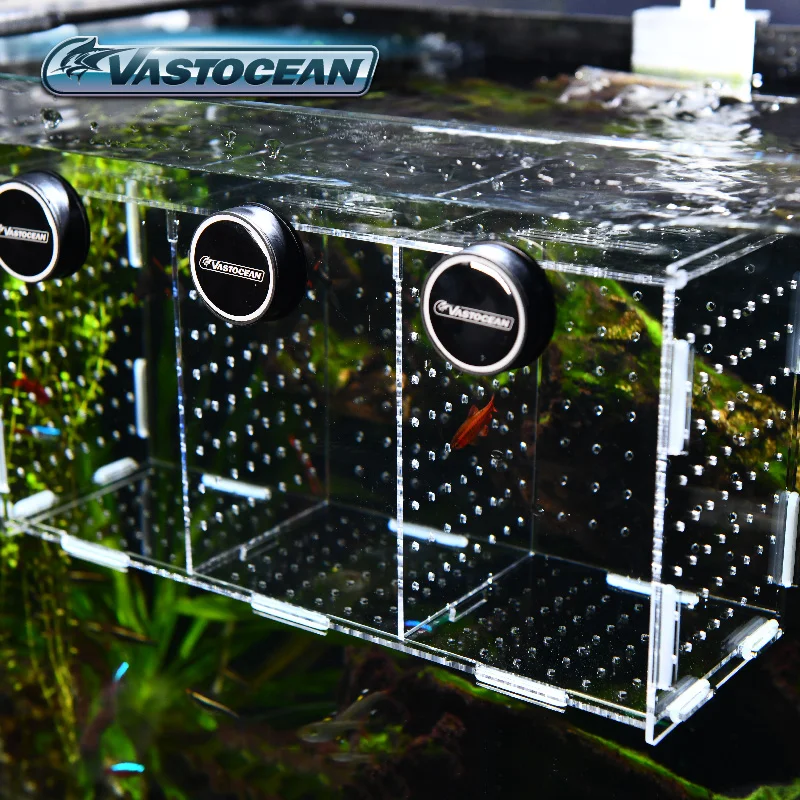 VASTOCEAN Fish Tank Magnetic C - Aquarium Fish And Supplies ulasan dan harga