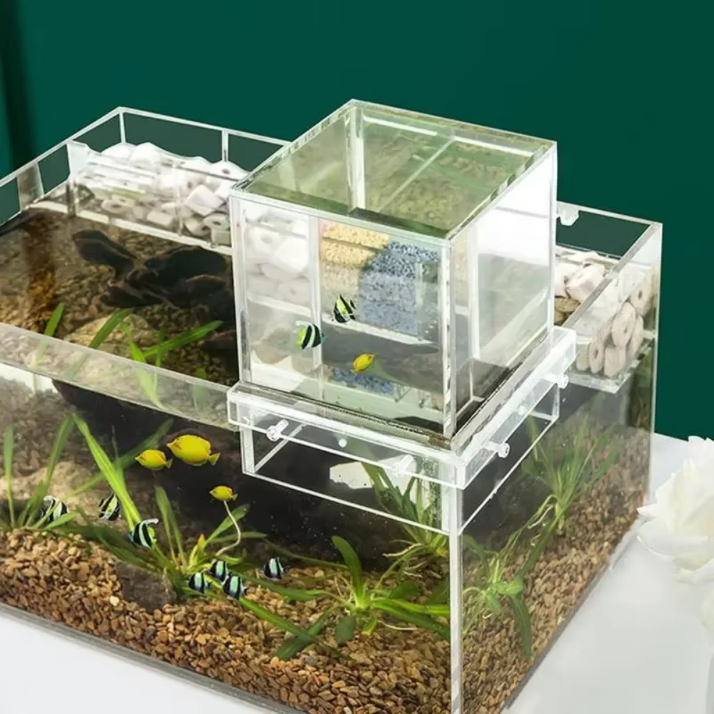 Landscaping Negative Pressure  - Aquarium Xl ulasan dan harga