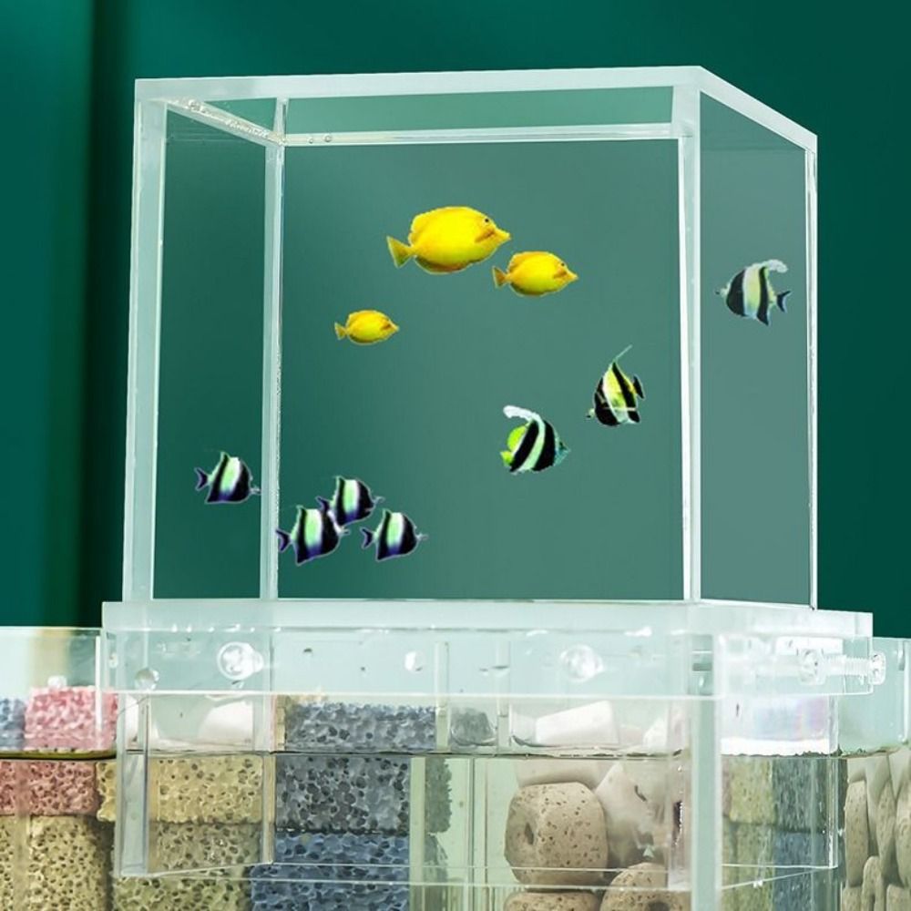 Landscaping Negative Pressure  - Aquarium Xl ulasan dan harga