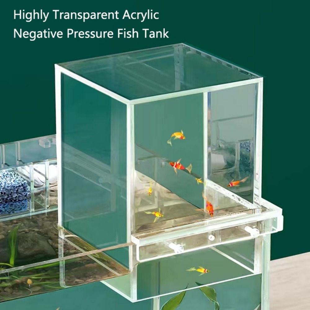 Landscaping Negative Pressure  - Aquarium Xl ulasan dan harga