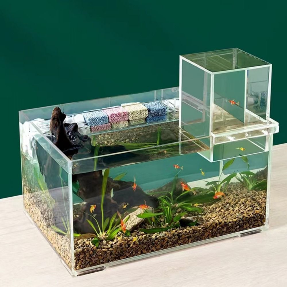 Landscaping Negative Pressure  - Aquarium Xl ulasan dan harga