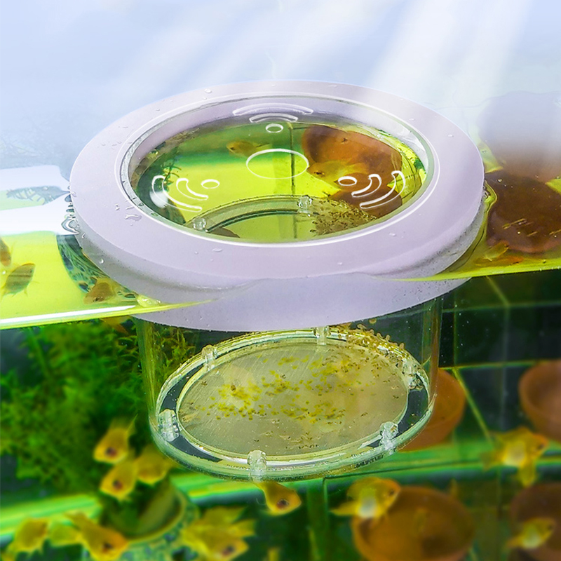 Suspended Fish Tank Breeding I - Aquarium Fish And Supplies ulasan dan harga