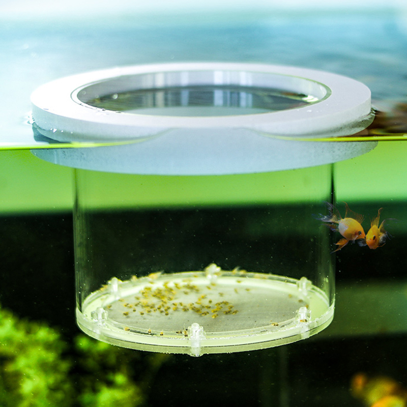Suspended Fish Tank Breeding I - Aquarium Fish And Supplies ulasan dan harga