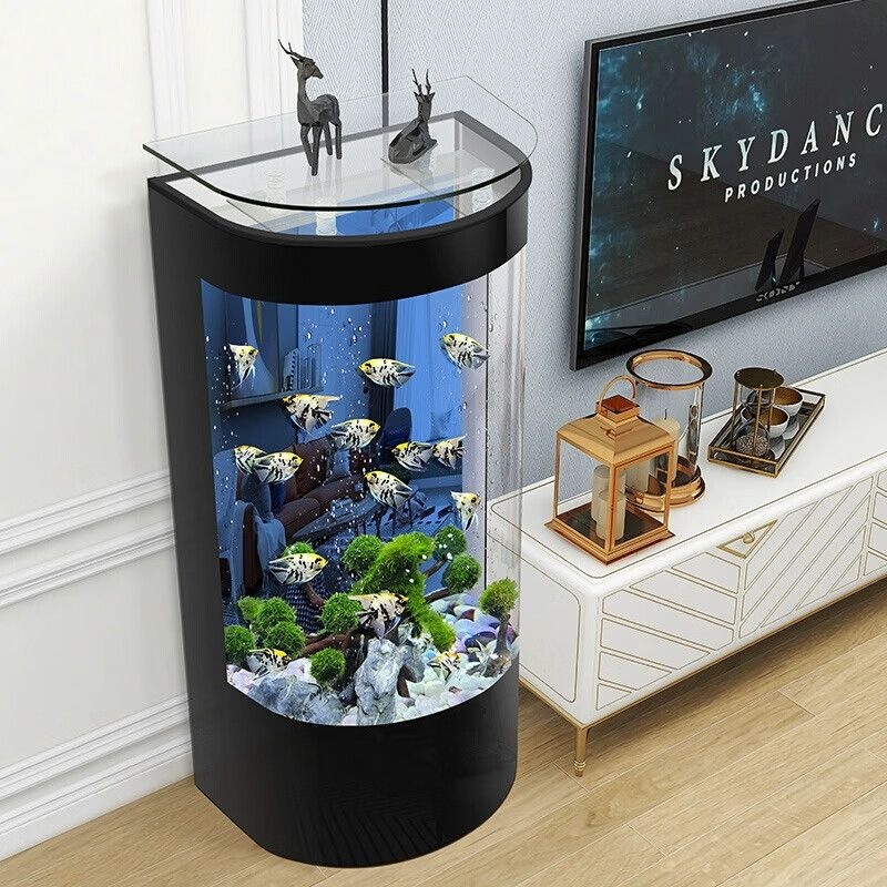 DSA light luxury semi-circular - Aquarium Xl ulasan dan harga