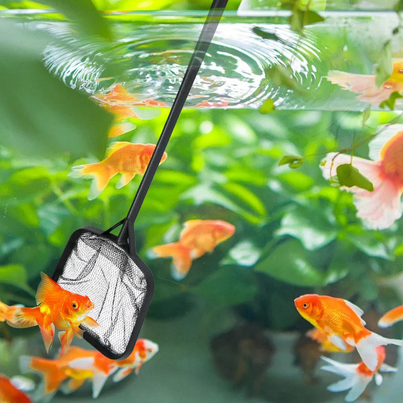 Pool Nets for Cleaning Portabl - Aquarium Fish Trap ulasan dan harga
