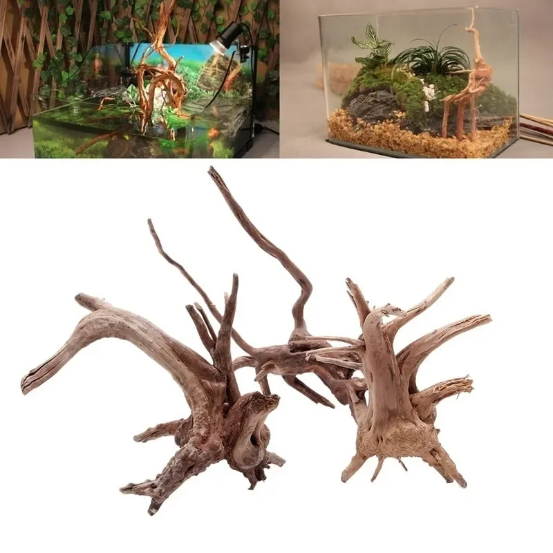 Natural Tree Trunk Driftwood A - Aquarium Fish Only ulasan dan harga