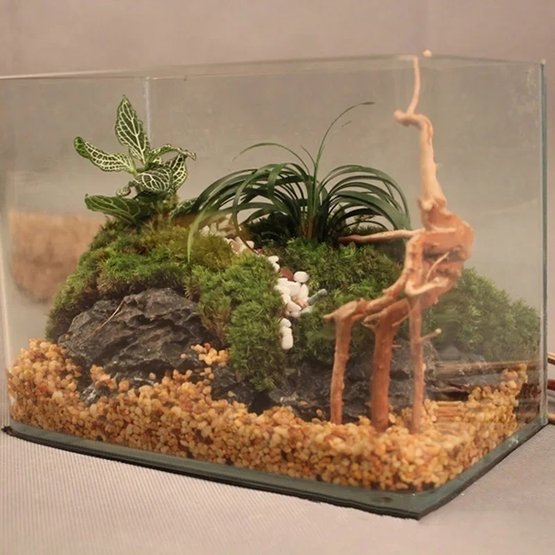 Natural Tree Trunk Driftwood A - Aquarium Fish Only ulasan dan harga