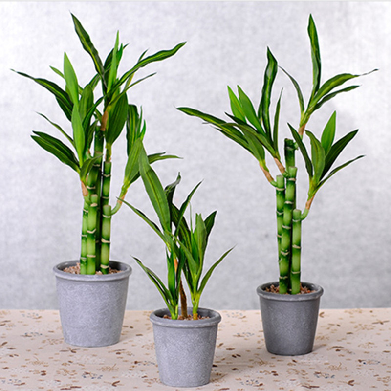 New 40cm Artificial Lucky Bamb - Aquarium Fish Pot ulasan dan harga