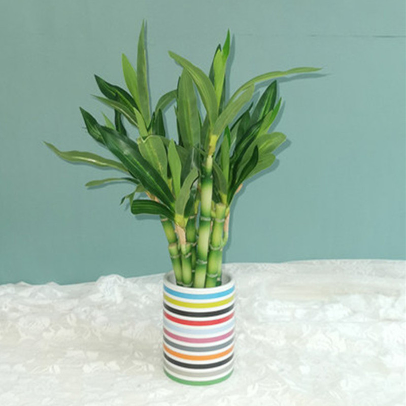 New 40cm Artificial Lucky Bamb - Aquarium Fish Pot ulasan dan harga