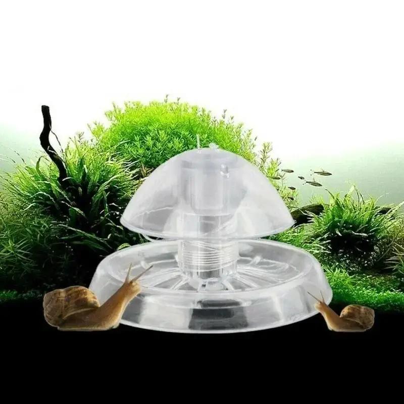 2026 New 6/8CM Clear Plastic S - Aquarium Fish And Supplies ulasan dan harga