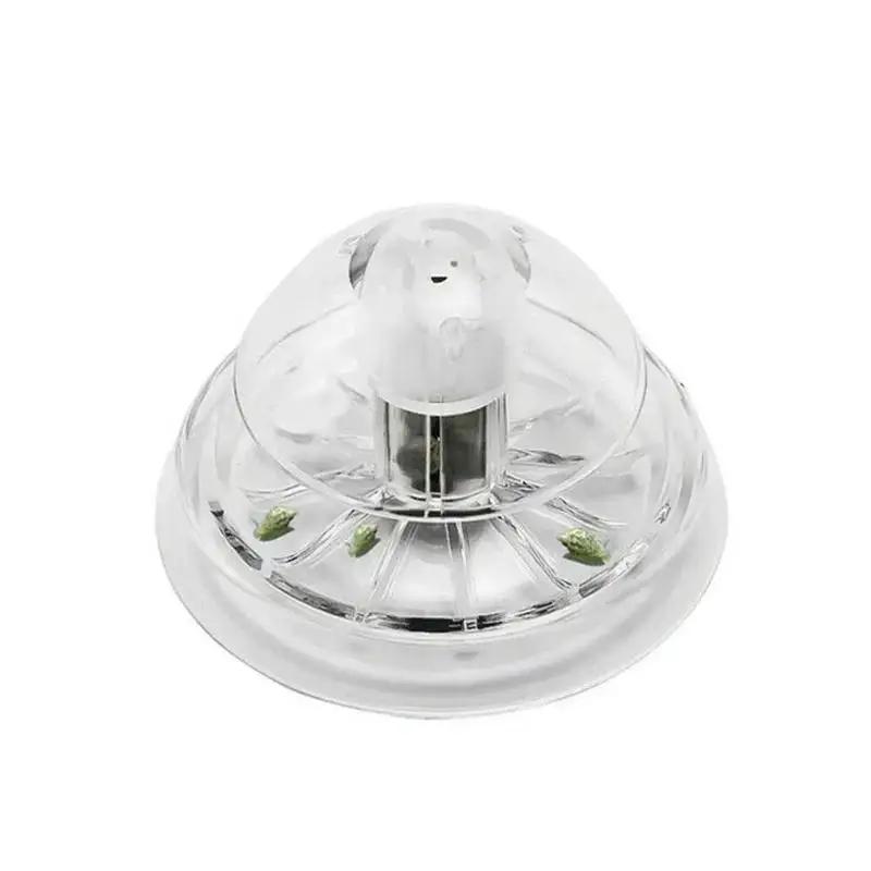 2026 New 6/8CM Clear Plastic S - Aquarium Fish And Supplies ulasan dan harga