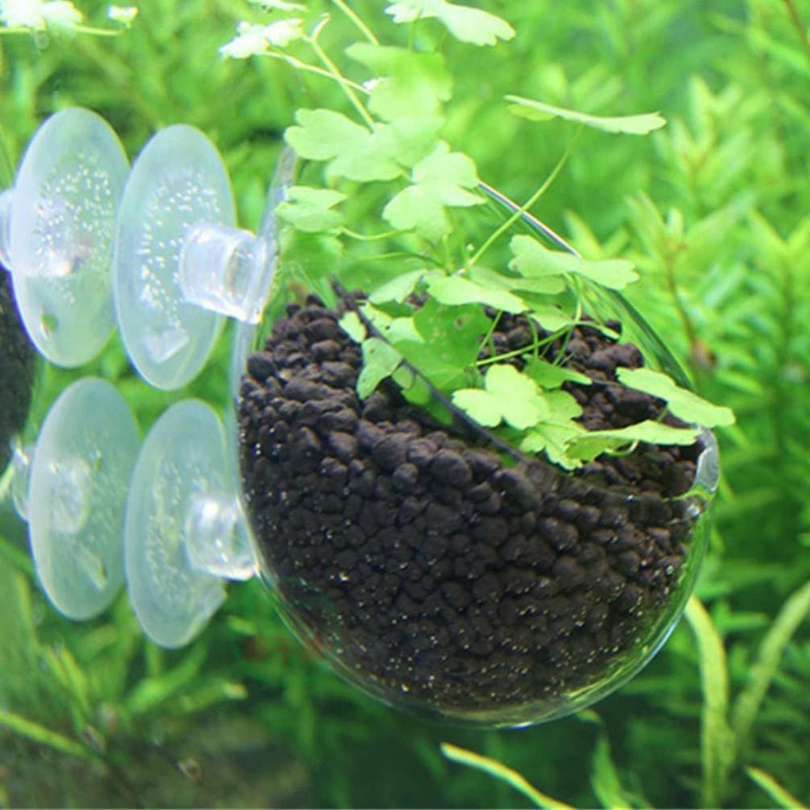 Aquarium Plant Holder Glass Aq - Aquarium Fish Pot ulasan dan harga