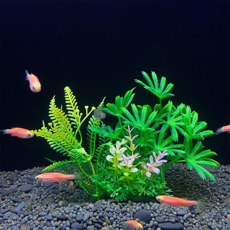 Artificial Aquarium Decoration - Aquarium Fish For Sale ulasan dan harga