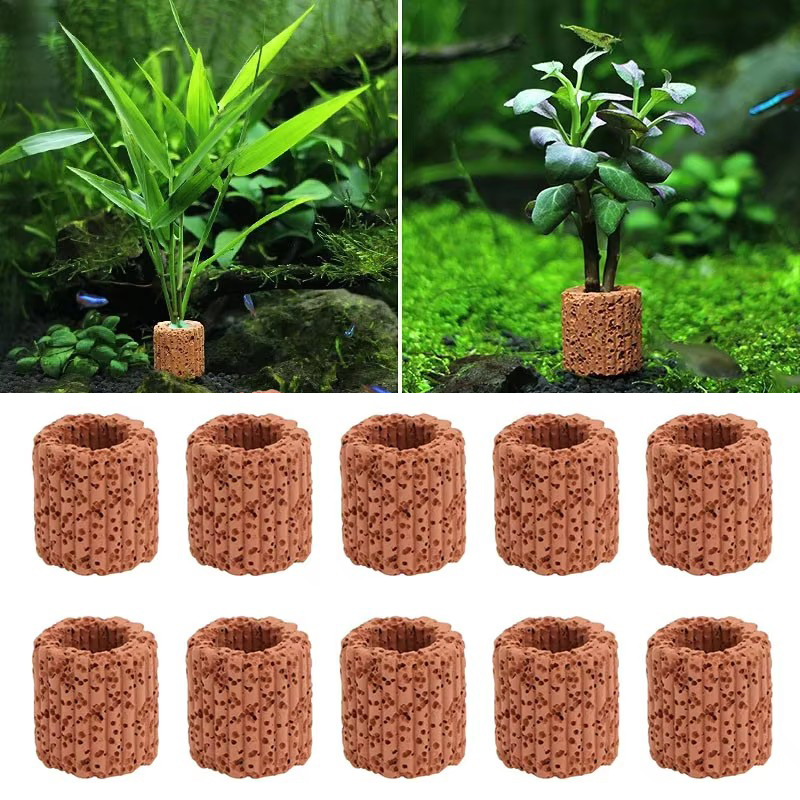 Aquatic Plant Fixed Ring for A - Aquarium Fish Pot ulasan dan harga