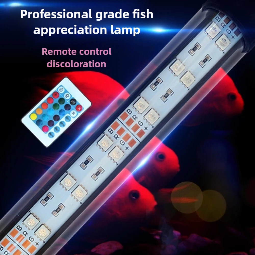 43 Inch Remote Control LED Aqu - Aquarium Fish Colorful ulasan dan harga