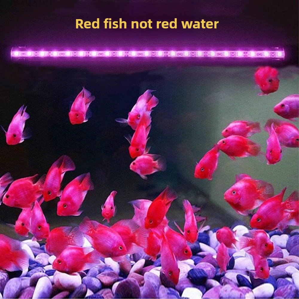 43 Inch Remote Control LED Aqu - Aquarium Fish Colorful ulasan dan harga