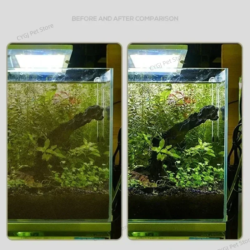 Fish Tank Cleaning Tool Flat S - Aquarium Fish Maintenance ulasan dan harga