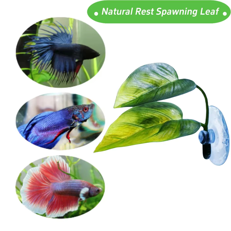 Aquarium Pet Supplies Decorati - Aquarium Fish And Supplies ulasan dan harga