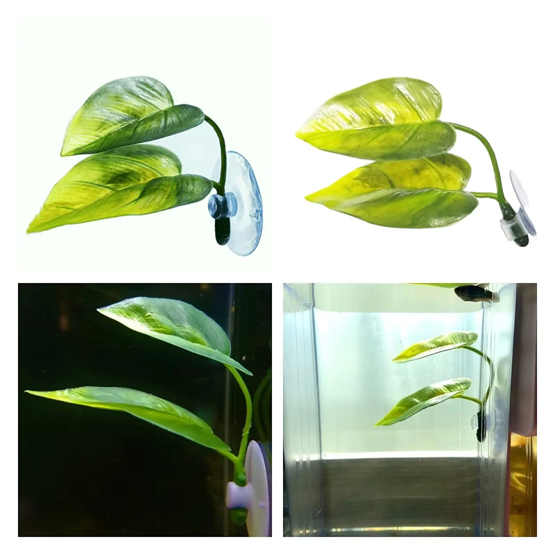 Aquarium Pet Supplies Decorati - Aquarium Fish And Supplies ulasan dan harga