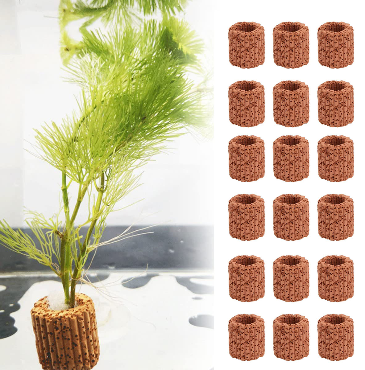 10/20Pcs Aquatic Water Plant F - Aquarium Fish Pot ulasan dan harga