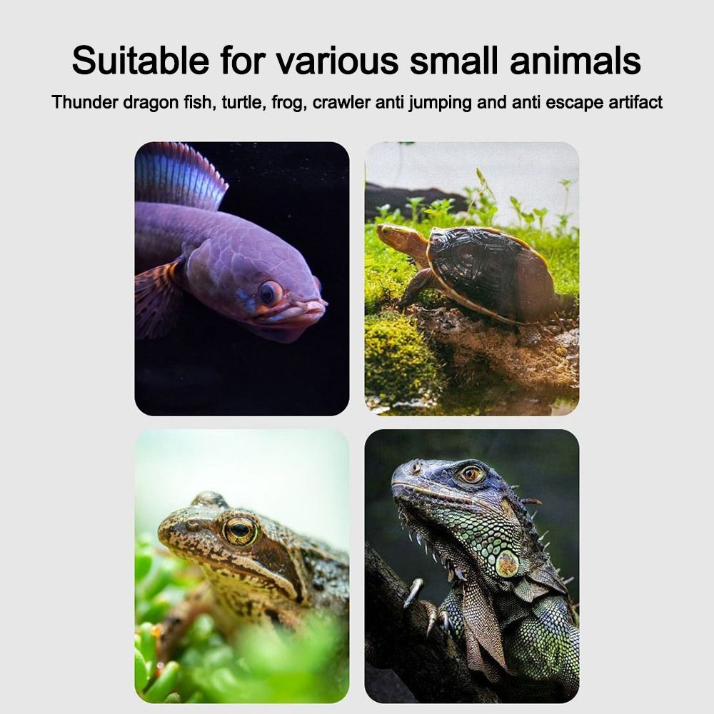 Durable Magnetic Fish Tank Lid - Aquarium Fish Net ulasan dan harga