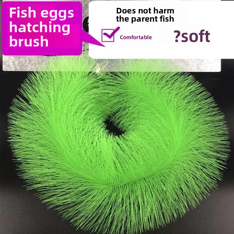 Breeding Grass for Koi Fish Eg - Aquarium Fish And Supplies ulasan dan harga