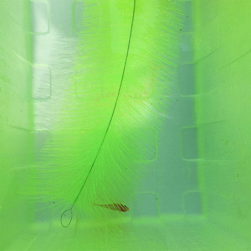 Breeding Grass for Koi Fish Eg - Aquarium Fish And Supplies ulasan dan harga