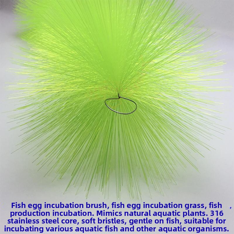 Breeding Grass for Koi Fish Eg - Aquarium Fish And Supplies ulasan dan harga