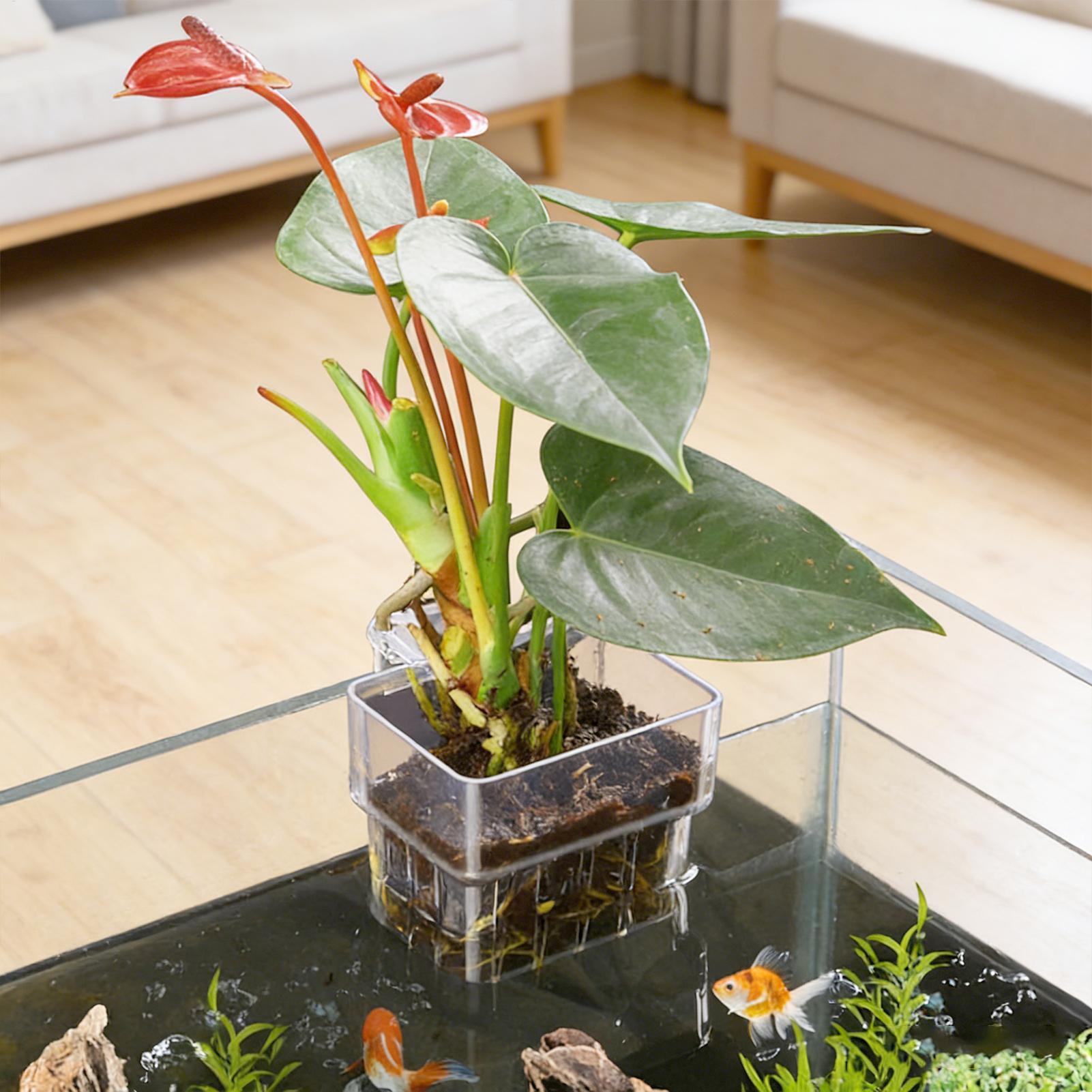 Aquarium Plant Basket Transpar - Aquarium Fish Pot ulasan dan harga