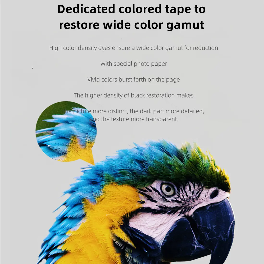 MIjia Photo Printer Dedicated  - Aquarium Xiaomi ulasan dan harga