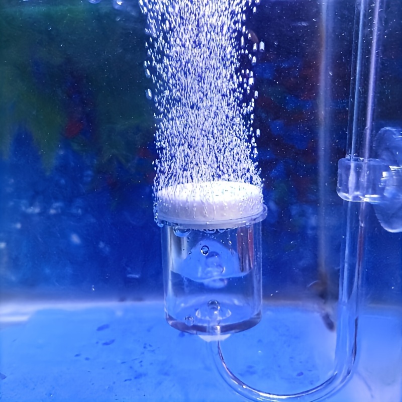 Aquarium Glass CO2 Atomizer Di - Aquarium Fish And Supplies ulasan dan harga