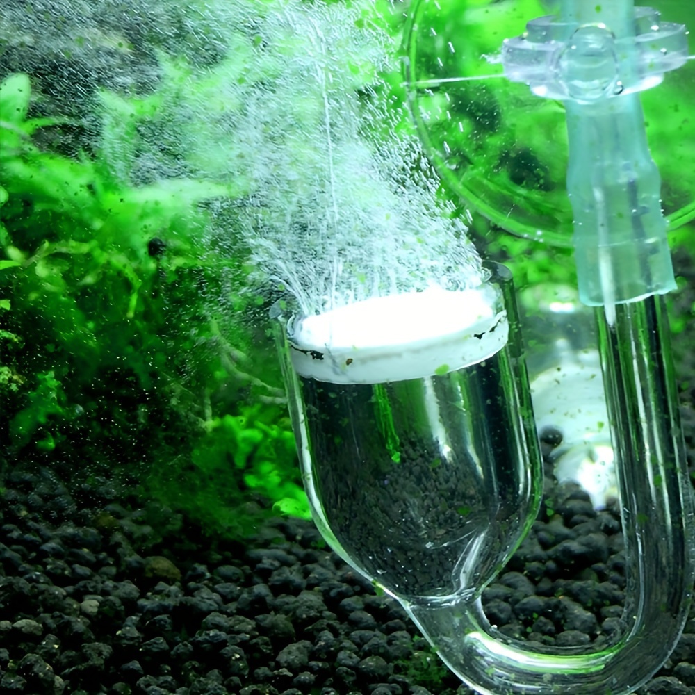 Aquarium Glass CO2 Atomizer Di - Aquarium Fish And Supplies ulasan dan harga