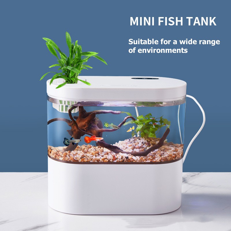 Mini Desktop Aquarium Fish Tan - Aquarium Xl ulasan dan harga