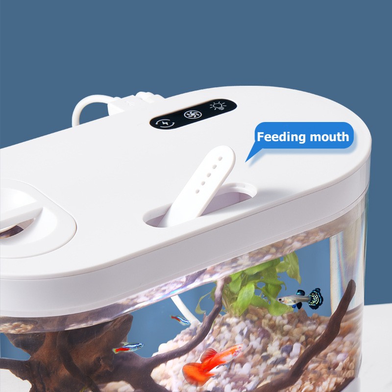 Mini Desktop Aquarium Fish Tan - Aquarium Xl ulasan dan harga