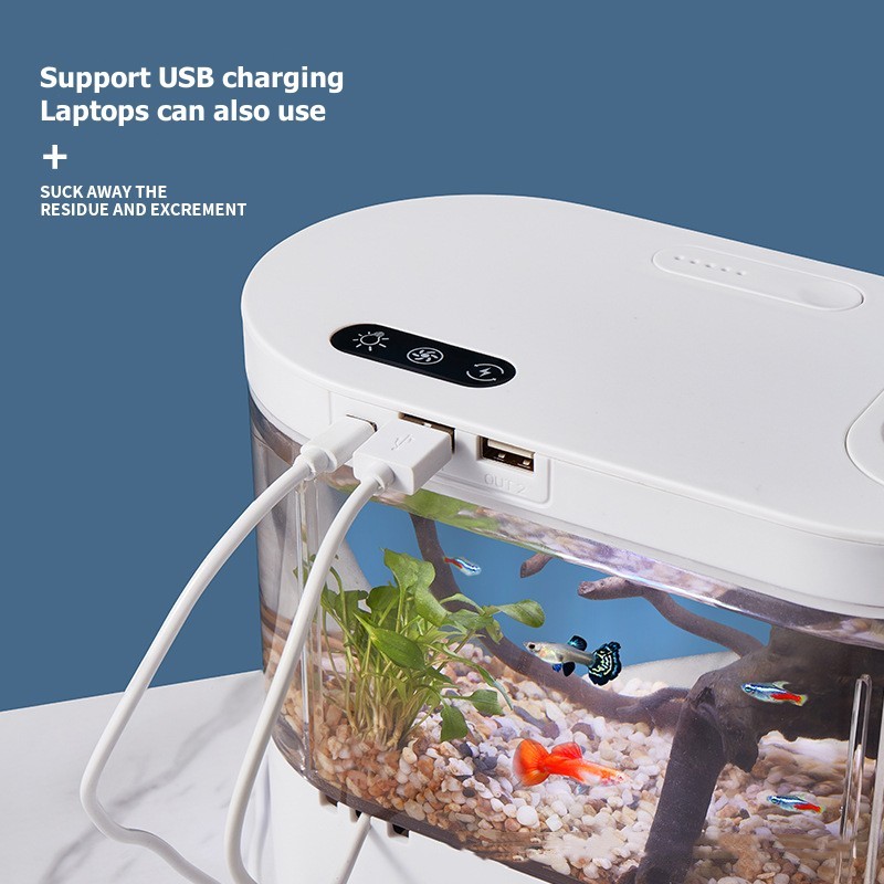 Mini Desktop Aquarium Fish Tan - Aquarium Xl ulasan dan harga