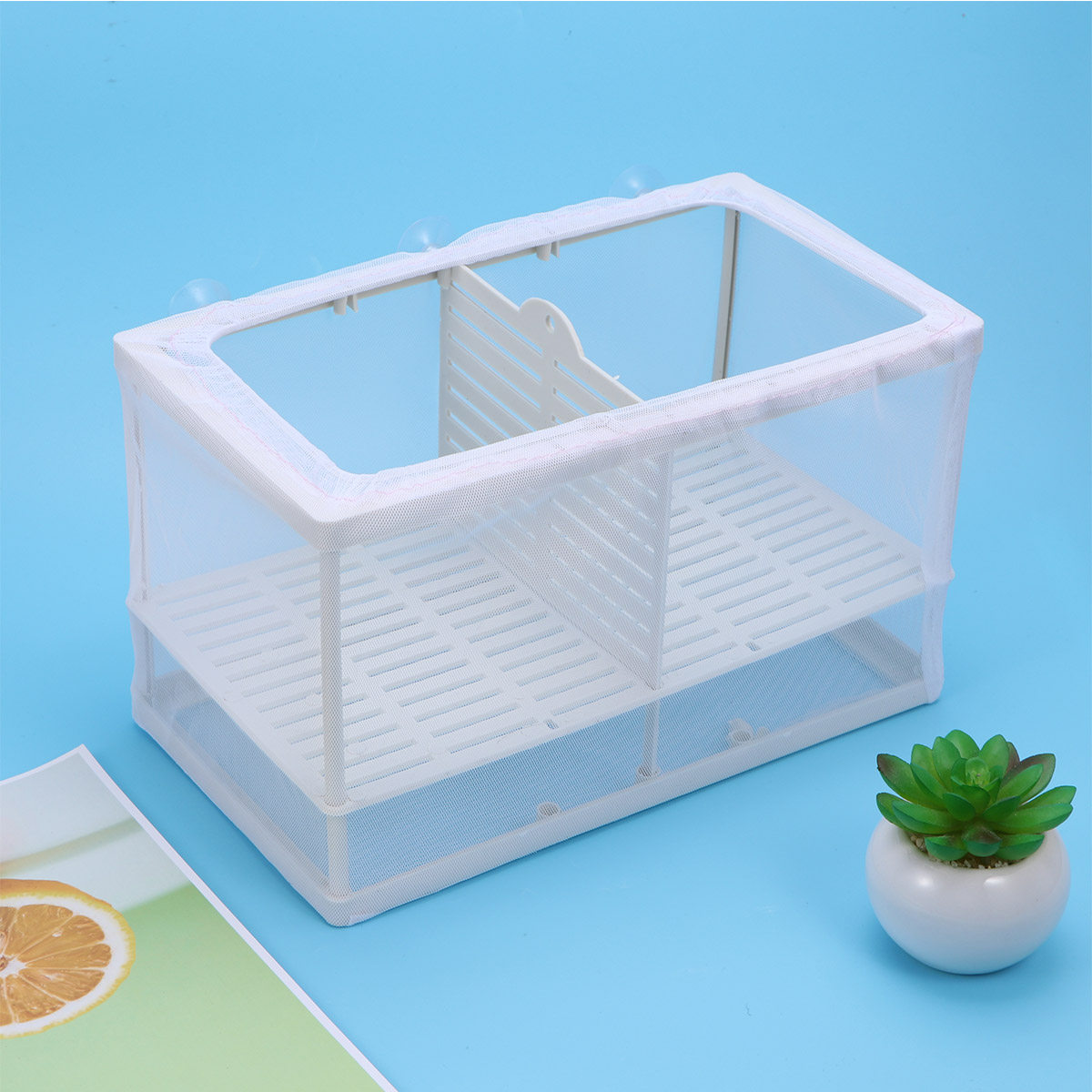 Fish Breeder Net Hatchery Incu - Fish Toy In Aquarium ulasan dan harga
