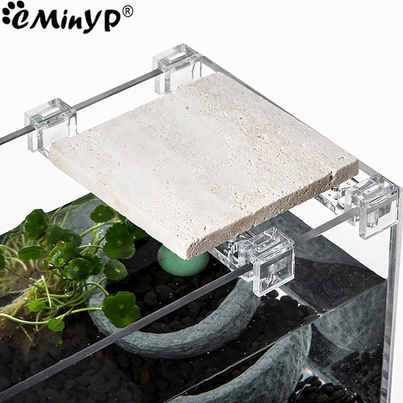 4Pcs Fish Tank Acrylic Clips f - Aquarium Fish And Supplies ulasan dan harga