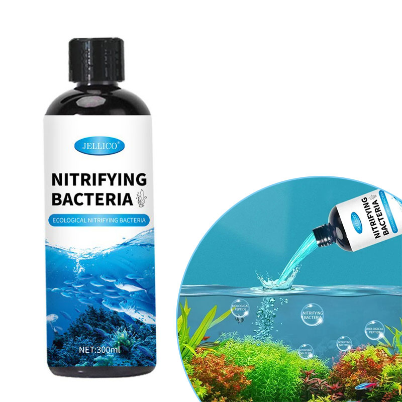 Nitrifying Bacteria Liquid Fis - Aquarium Fish And Supplies ulasan dan harga