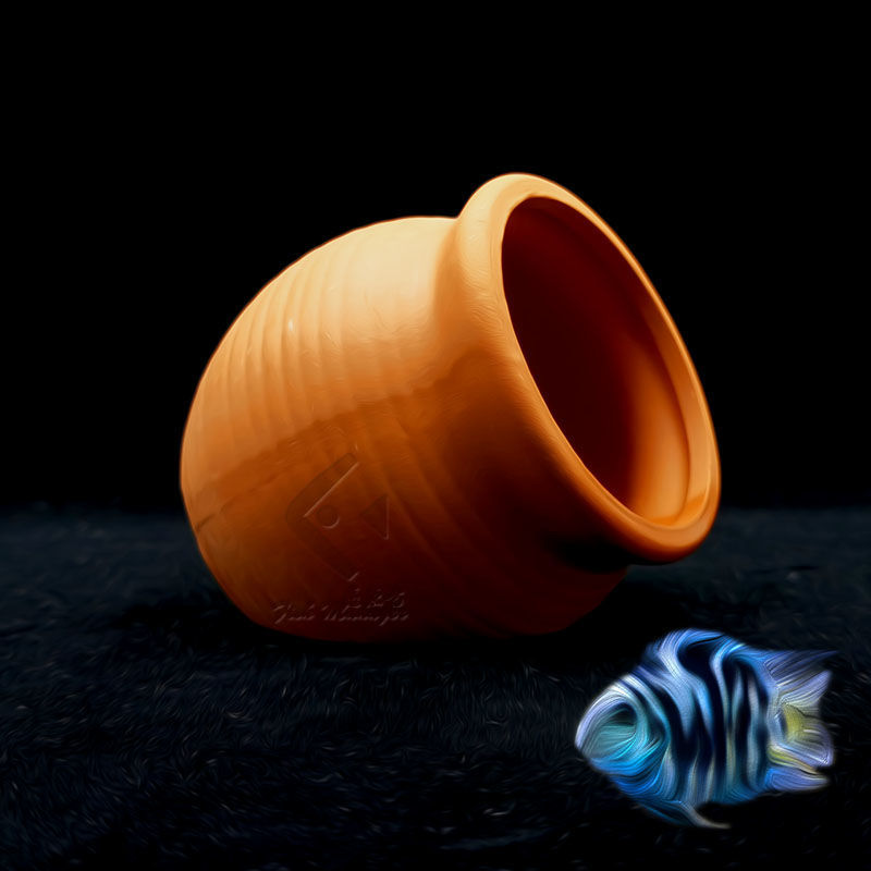 Aquarium Mini Ceramic Tank Fis - Aquarium Fish Pot ulasan dan harga