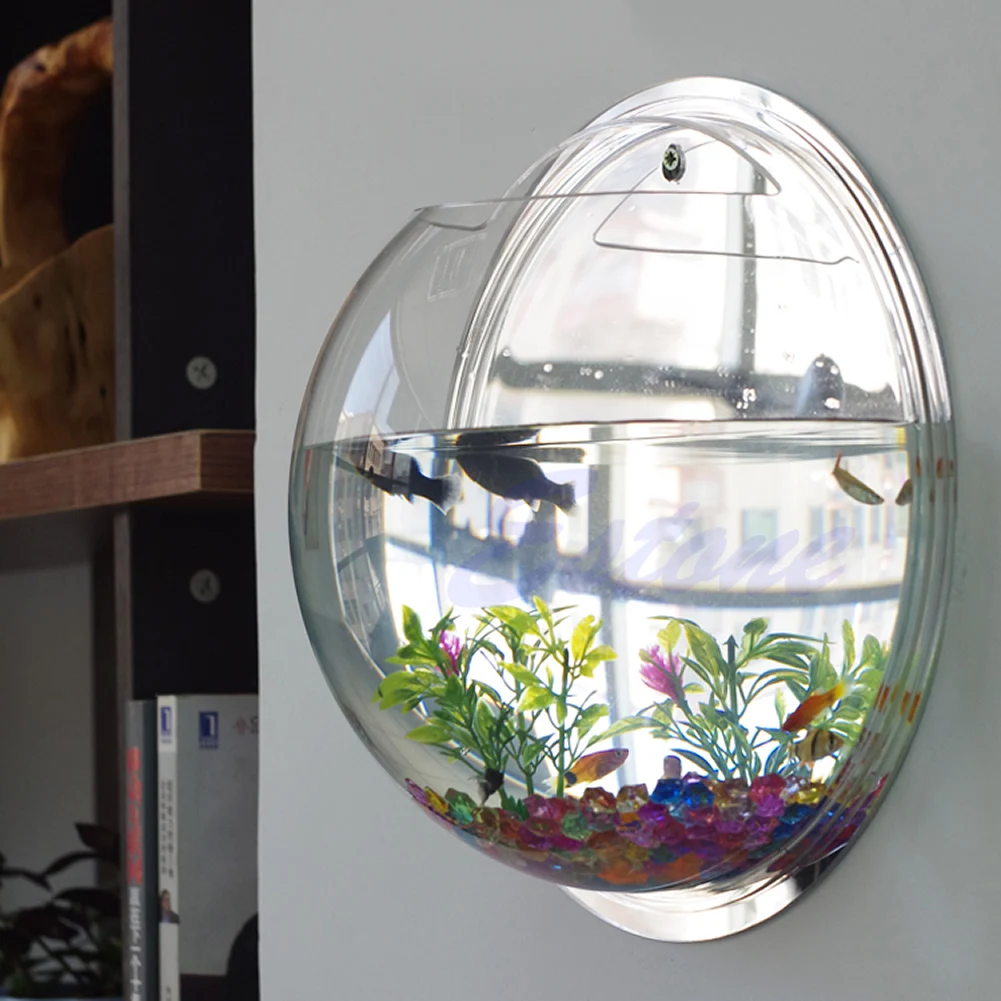 Pot Wall Hanging Mount Bubble  - Aquarium Fish Pot ulasan dan harga