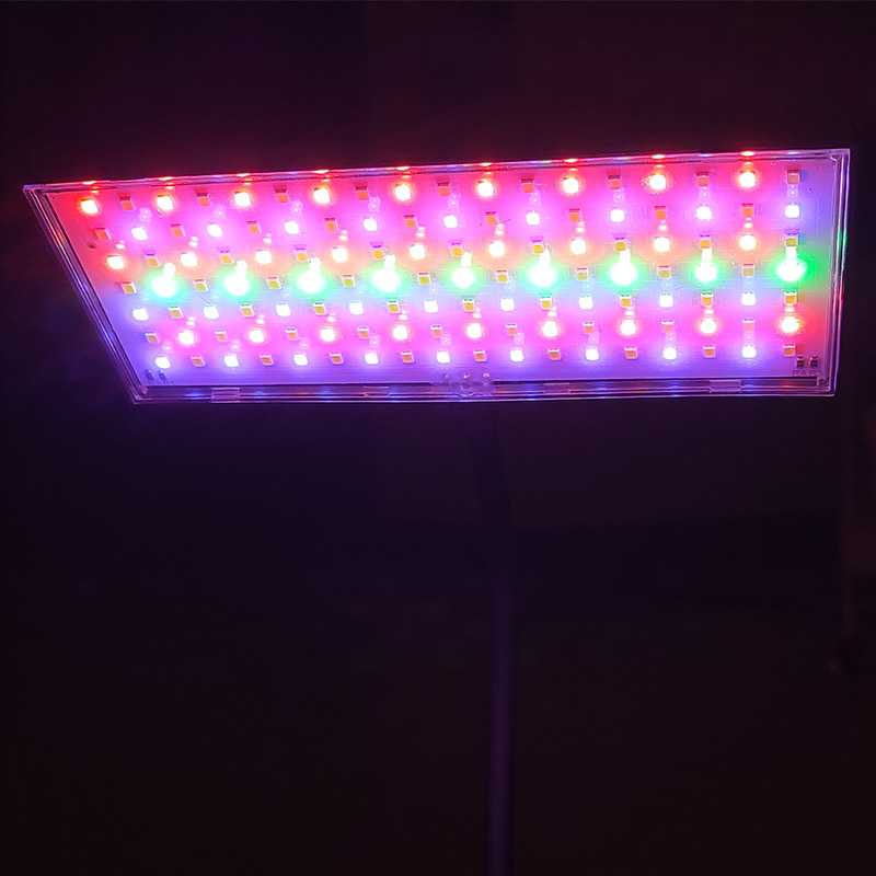 3 Light Color Adjustable Aquar - Aquarium Fish Colorful ulasan dan harga