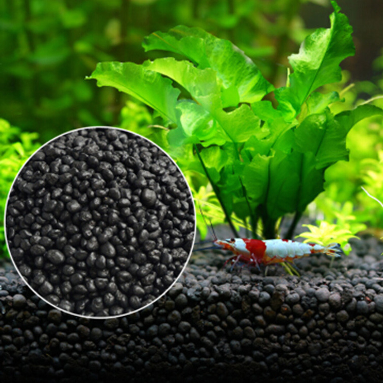 Aquarium Plant Seeds Soil Fish - Aquarium Fish Types ulasan dan harga